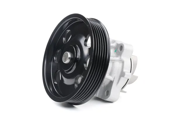 MAGNETI MARELLI Wasserpumpe