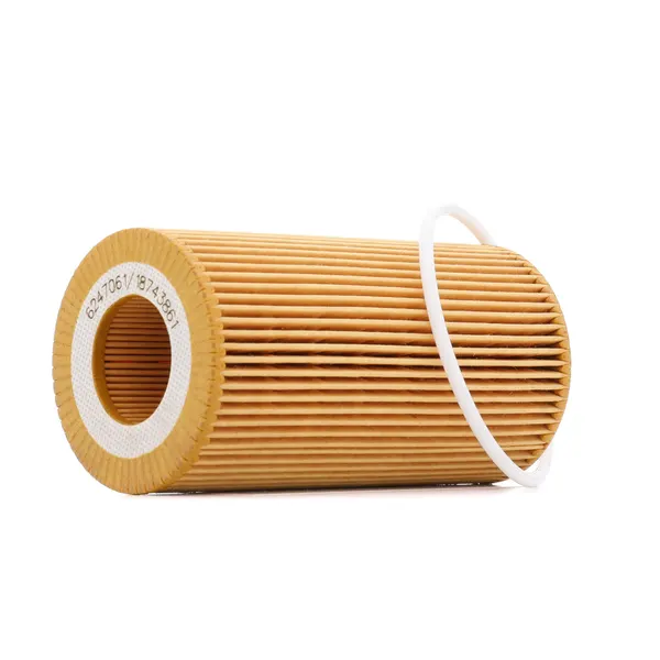 RIDEX PLUS Ölfilter Filtereinsatz
