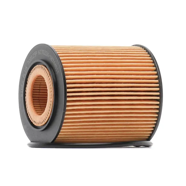 RIDEX PLUS Ölfilter Filtereinsatz