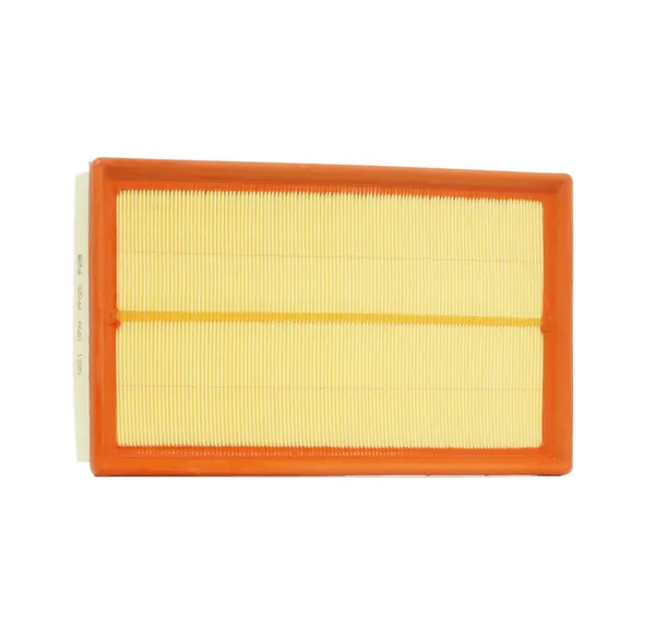 FEBI BILSTEIN Luftfilter Filtereinsatz