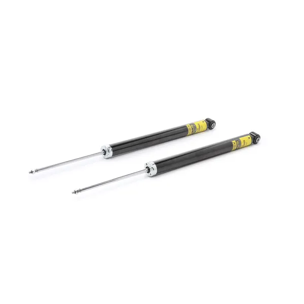 RIDEX PLUS Stoßdämpfer Hinterachse
