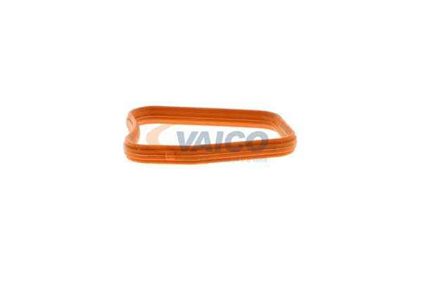 VAICO Dichtung, Thermostatgehäuse Original VAICO Qualität