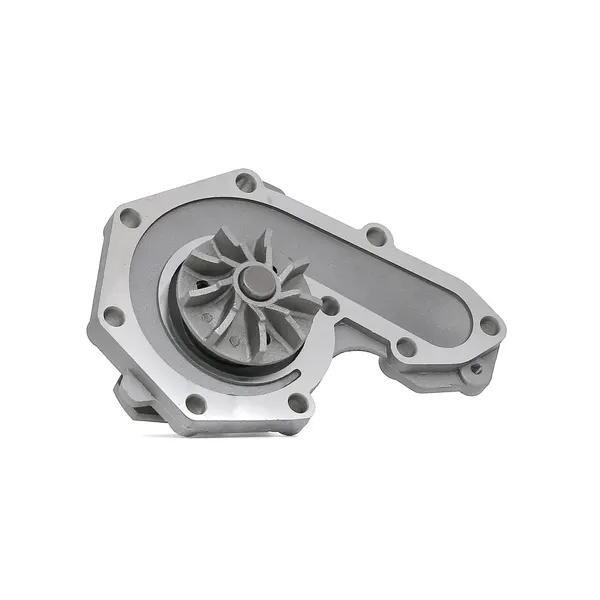 THERMOTEC Wasserpumpe mit Dichtung