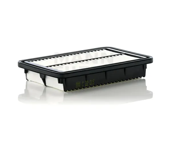 MANN-FILTER Luftfilter Filtereinsatz