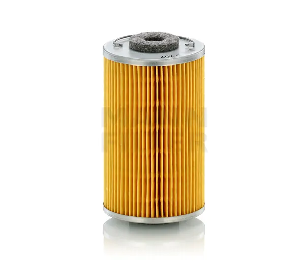 MANN-FILTER Kraftstofffilter mit Dichtung