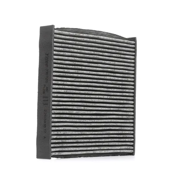 VALEO Innenraumfilter CLIMFILTER PROTECT