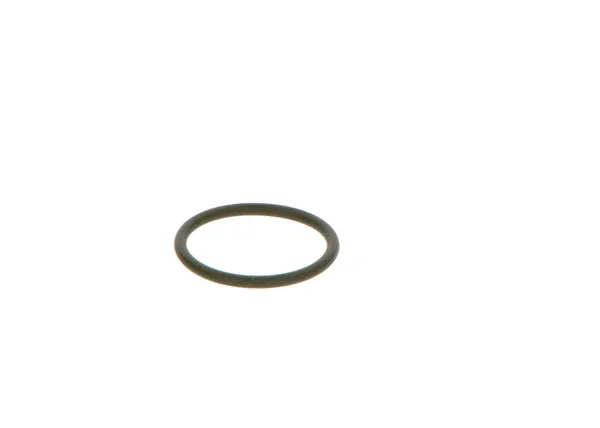 Bosch Dichtring