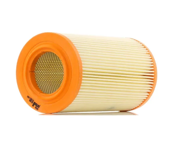 PURFLUX Luftfilter Filtereinsatz