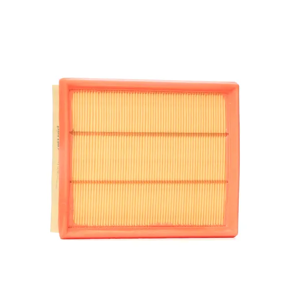 PURFLUX Luftfilter Filtereinsatz