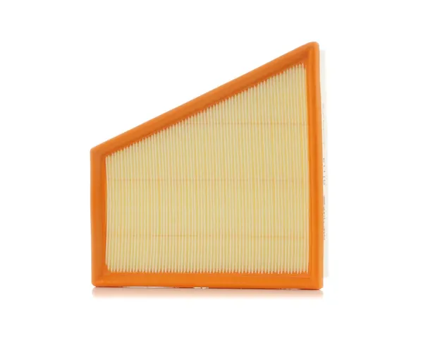PURFLUX Luftfilter Filtereinsatz