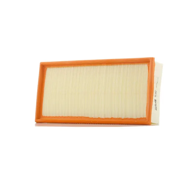 PURFLUX Luftfilter Filtereinsatz