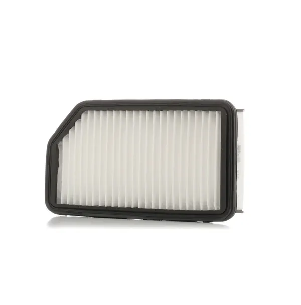 PURFLUX Luftfilter Filtereinsatz