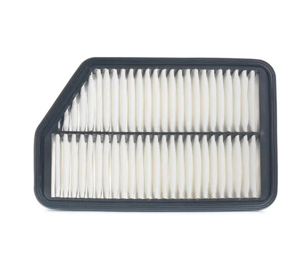 PURFLUX Luftfilter Filtereinsatz