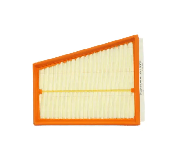 PURFLUX Luftfilter Filtereinsatz