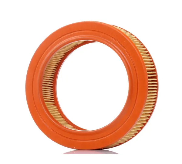 PURFLUX Luftfilter Filtereinsatz