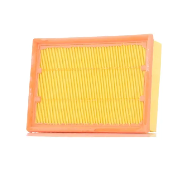 PURFLUX Luftfilter Filtereinsatz