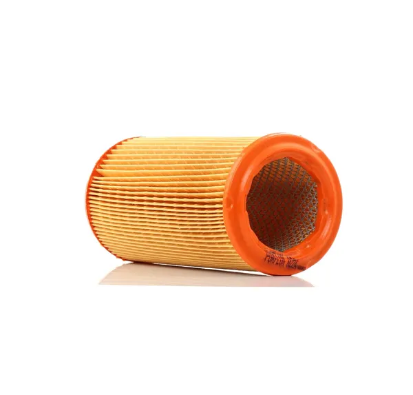 PURFLUX Luftfilter Filtereinsatz