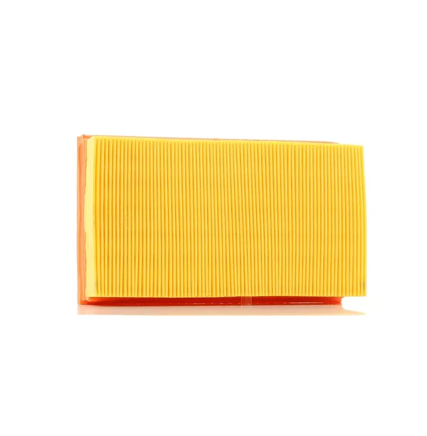 PURFLUX Luftfilter Filtereinsatz