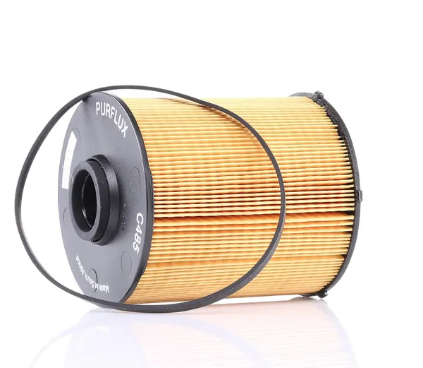 PURFLUX Kraftstofffilter Filtereinsatz