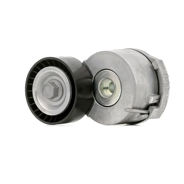 SKF Spannrolle