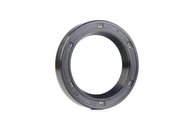 PAYEN Wellendichtring, Differential