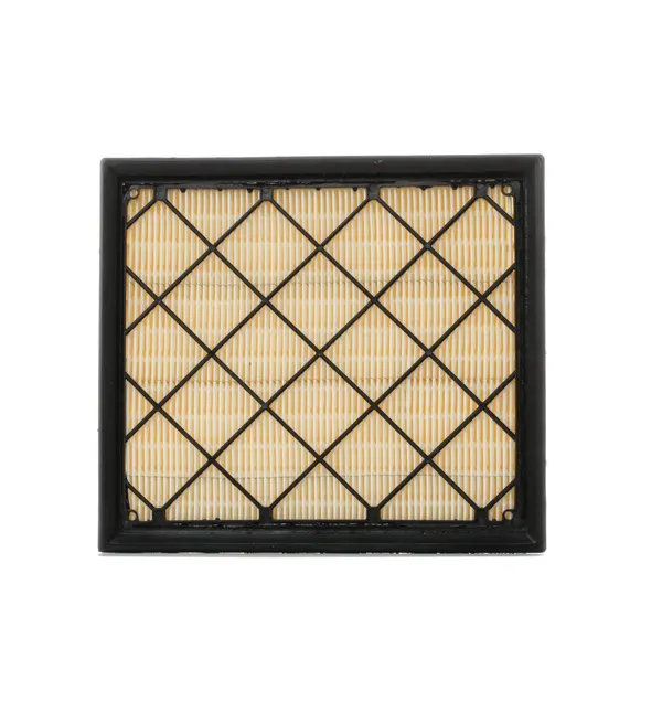 RIDEX Luftfilter Filtereinsatz