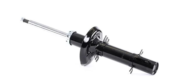RIDEX Stoßdämpfer Vorderachse