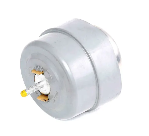 RIDEX Motorlager vorne