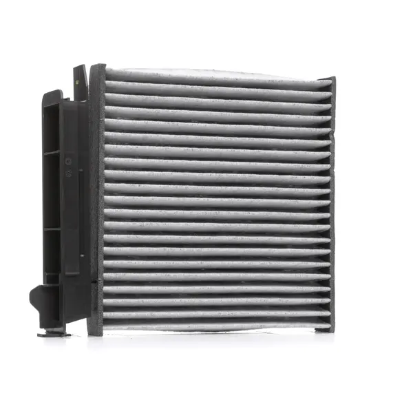 VALEO Innenraumfilter CLIMFILTER PROTECT