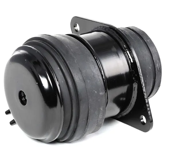 RIDEX Motorlager hinten rechts