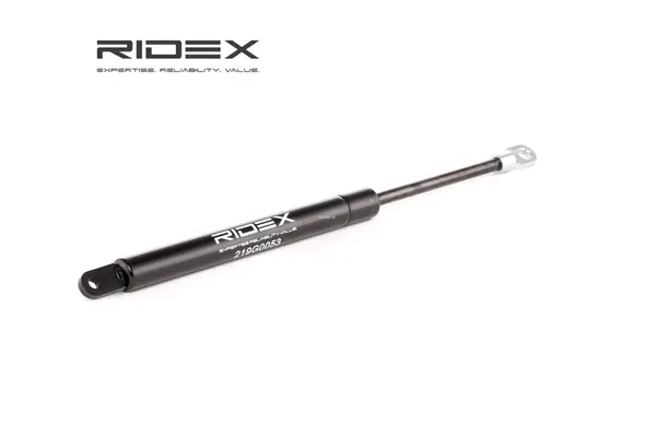 RIDEX Heckklappendämpfer beidseitig