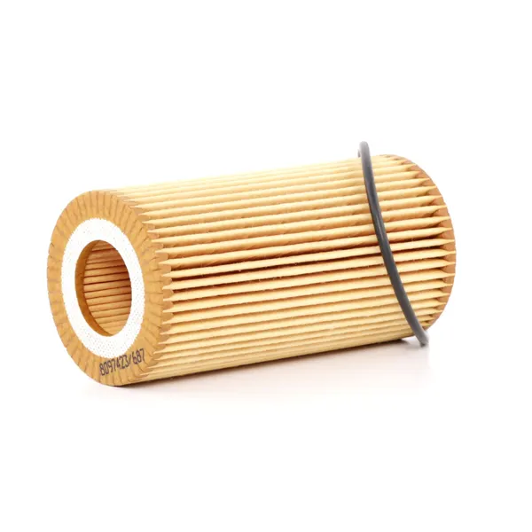 RIDEX Ölfilter Filtereinsatz