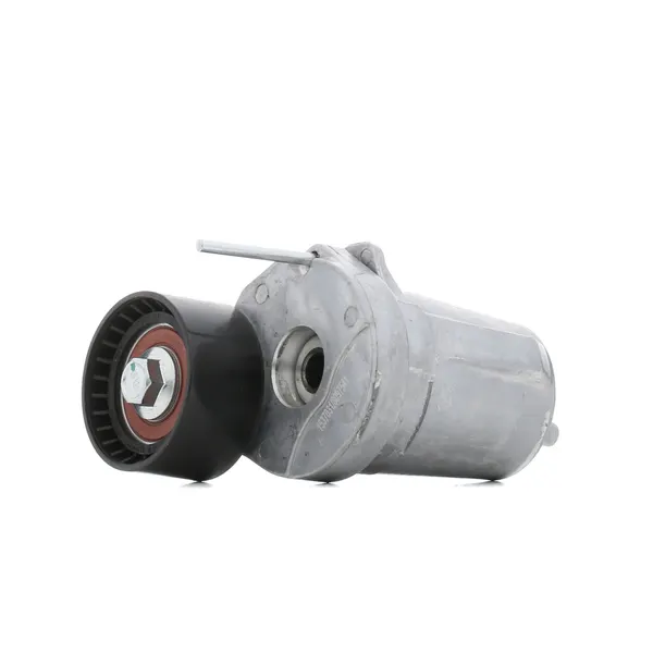 RIDEX Spannrolle