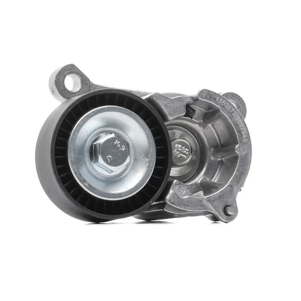 RIDEX Spannrolle