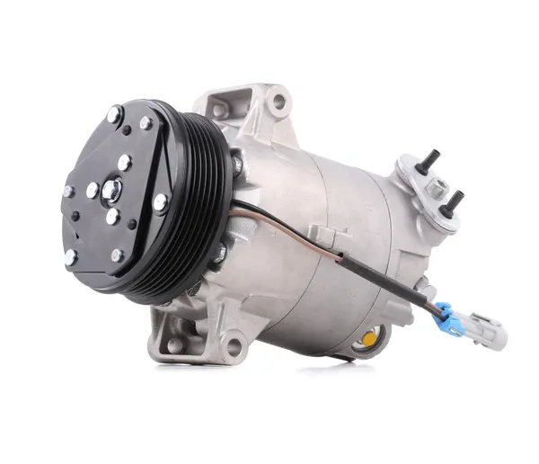 RIDEX Kompressor PAG 46