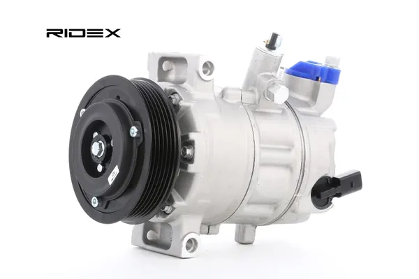 RIDEX Kompressor PAG 46