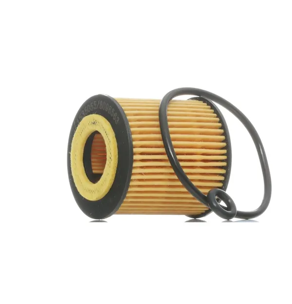 RIDEX Ölfilter Filtereinsatz