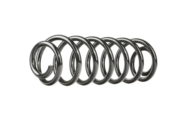 RIDEX Fahrwerksfeder Hinterachse