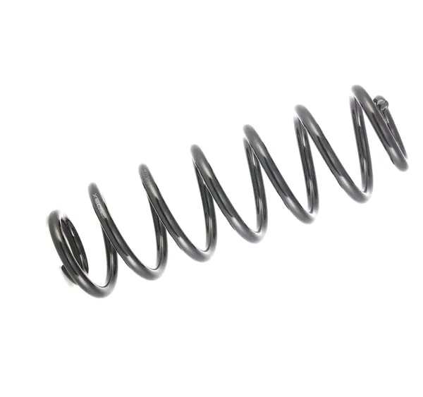 RIDEX Fahrwerksfeder Hinterachse