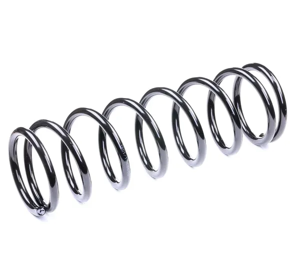 RIDEX Fahrwerksfeder Hinterachse