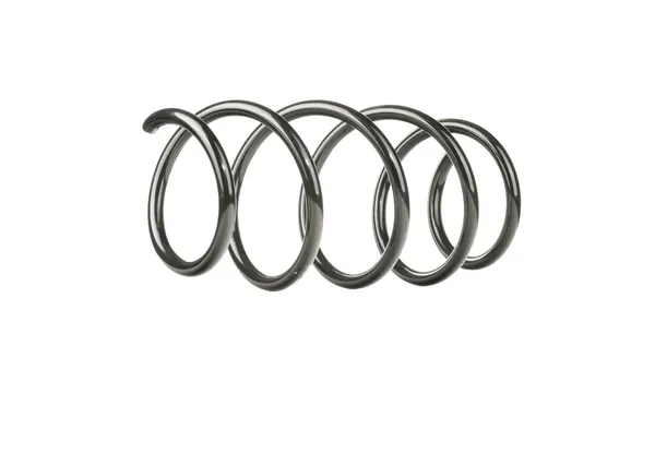 RIDEX Fahrwerksfeder Vorderachse