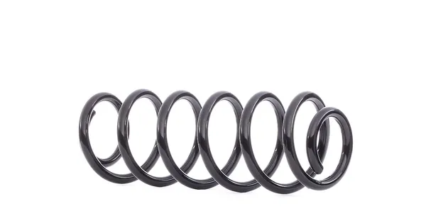 RIDEX Fahrwerksfeder Hinterachse