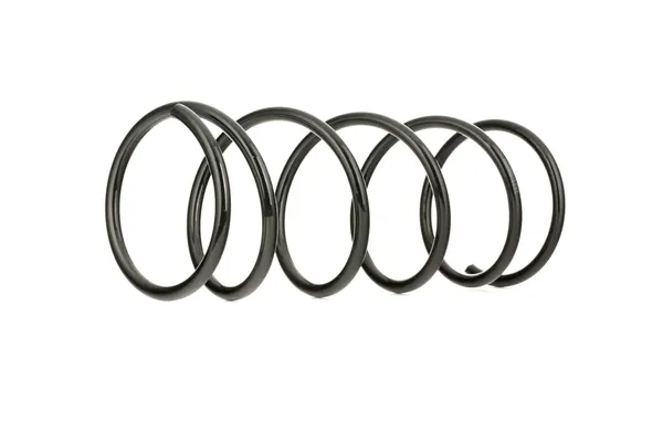 RIDEX Fahrwerksfeder Vorderachse