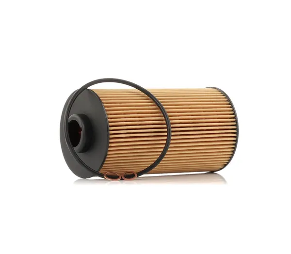 RIDEX Ölfilter Filtereinsatz
