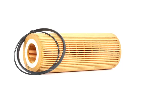 RIDEX Ölfilter Filtereinsatz