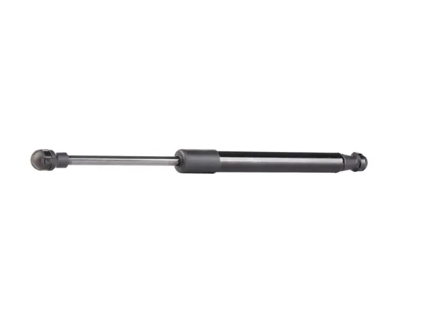 RIDEX Heckklappendämpfer hinten