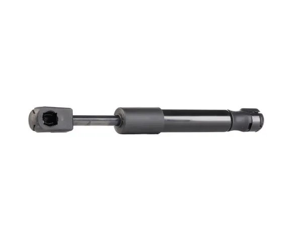 RIDEX Heckklappendämpfer hinten