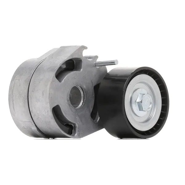 RIDEX Spannrolle
