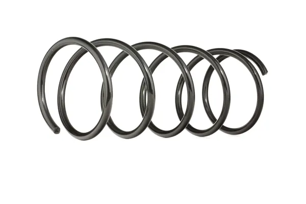 RIDEX Fahrwerksfeder Vorderachse