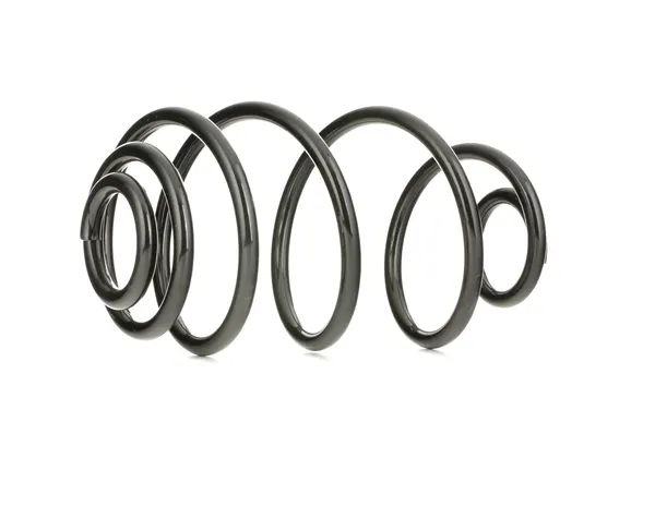 RIDEX Fahrwerksfeder Hinterachse